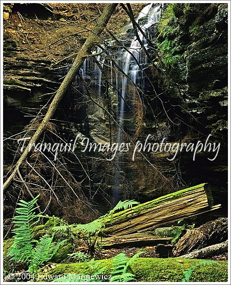 660143---22-Tannerty-falls